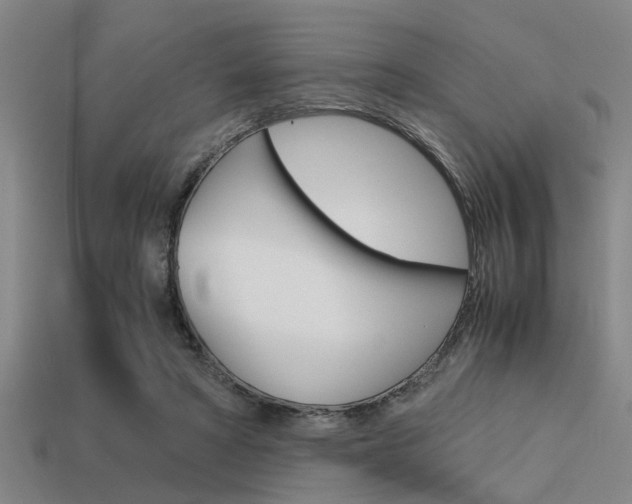 X0000113590402200909181052