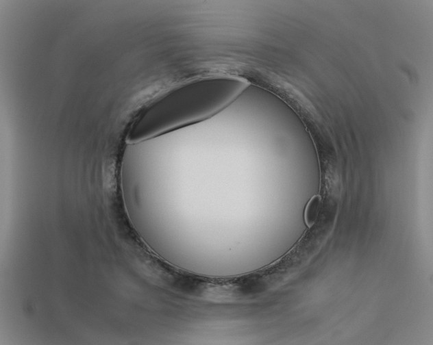 X0000113590403200909181052