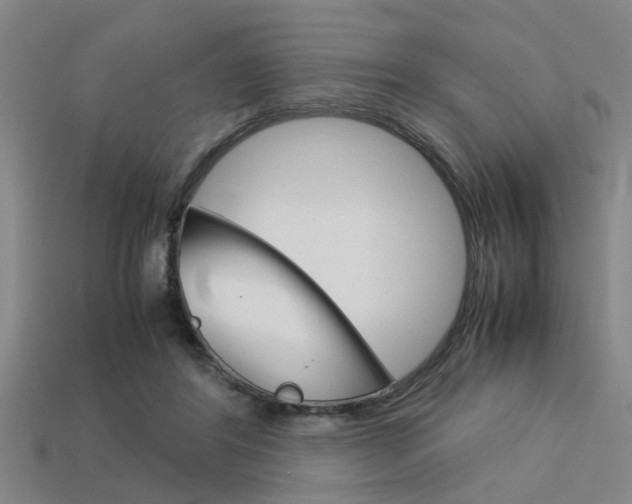 X0000113590404200909181052