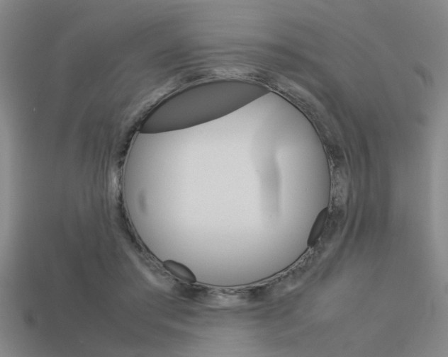X0000113590405200909181052