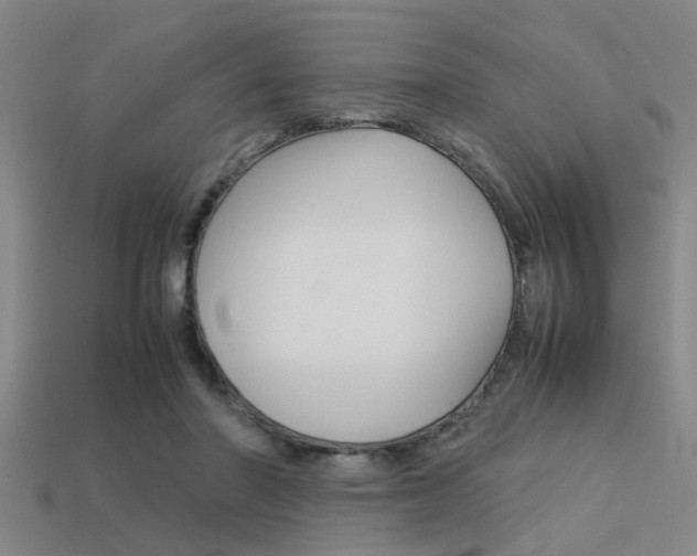 X0000113590406200909181052