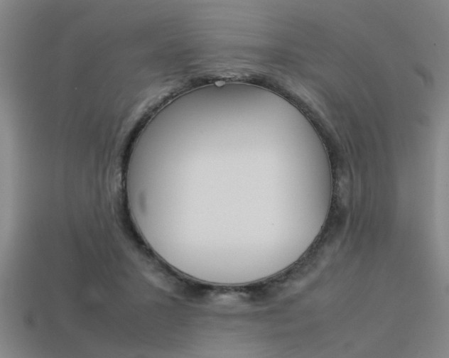 X0000113590407200909181052