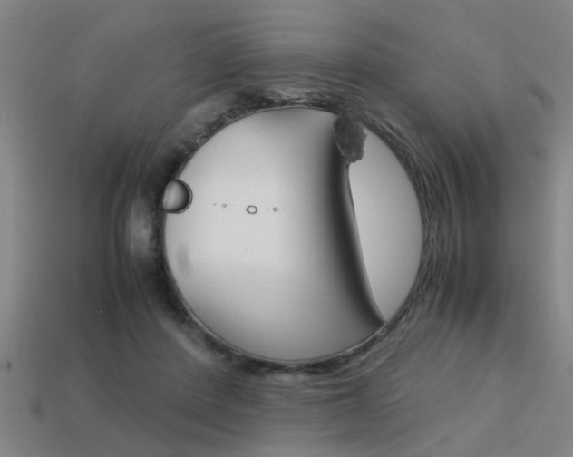 X0000113590408200909181052