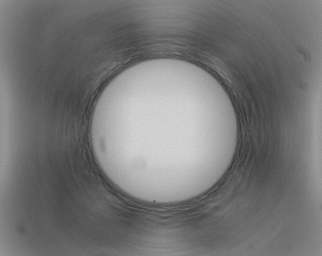 X0000113590411200909181052