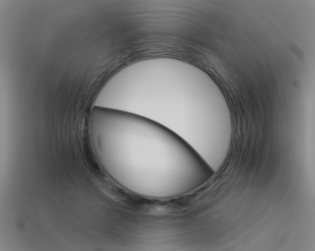 X0000113590412200909181052