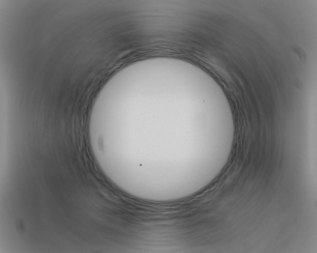 X0000113590413200909181052