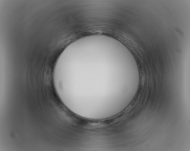 X0000113590414200909181052