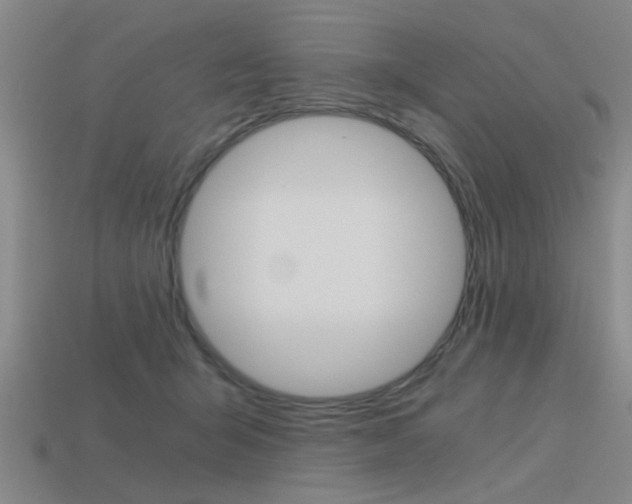 X0000113590415200909181052