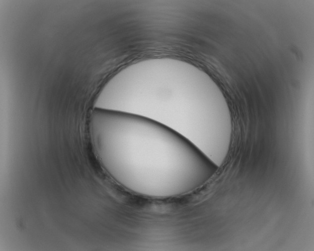 X0000113590416200909181052
