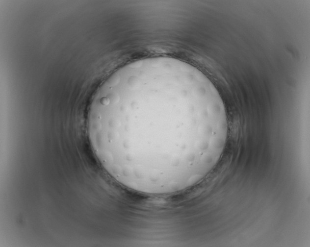 X0000113590418200909181052