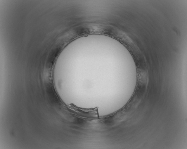 X0000113590419200909181052