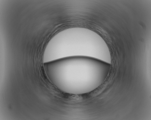 X0000113590421200909181052