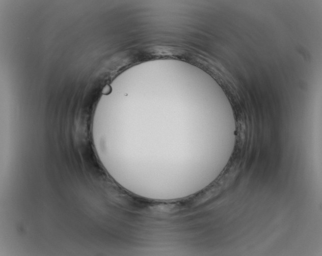 X0000113590422200909181052