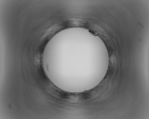 X0000113590423200909181052
