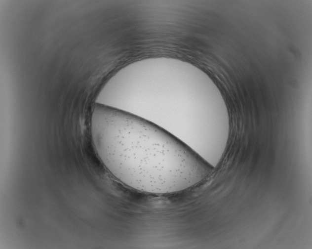 X0000113590424200909181052