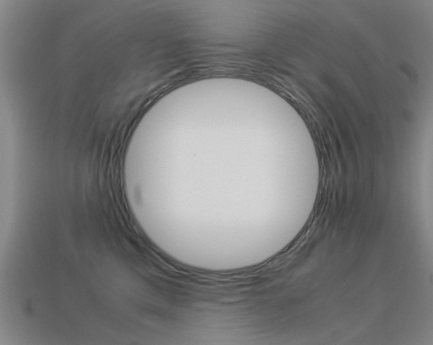 X0000113590425200909181052