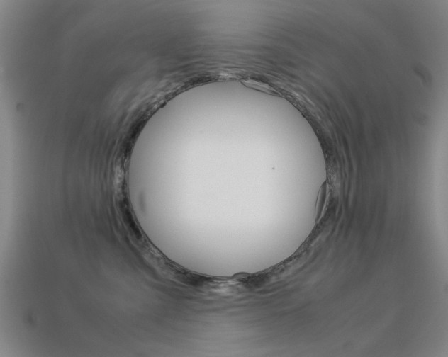 X0000113590427200909181052