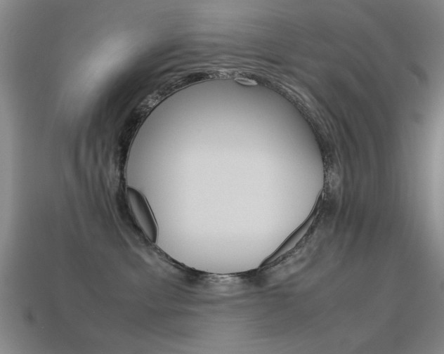 X0000113590429200909181052