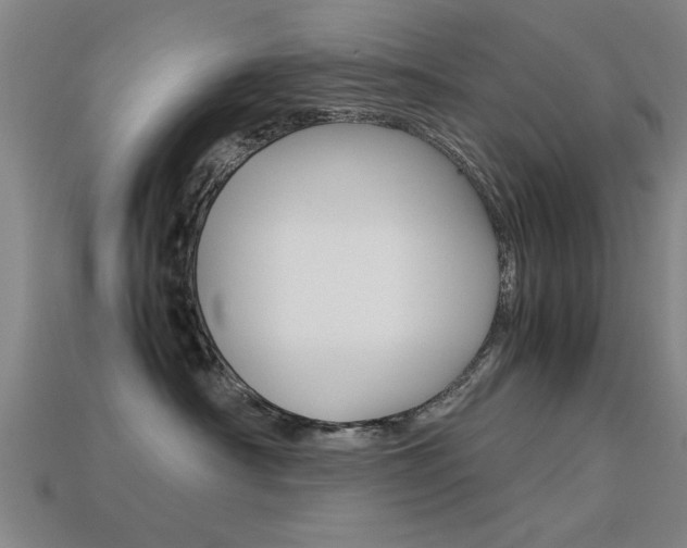 X0000113590430200909181052