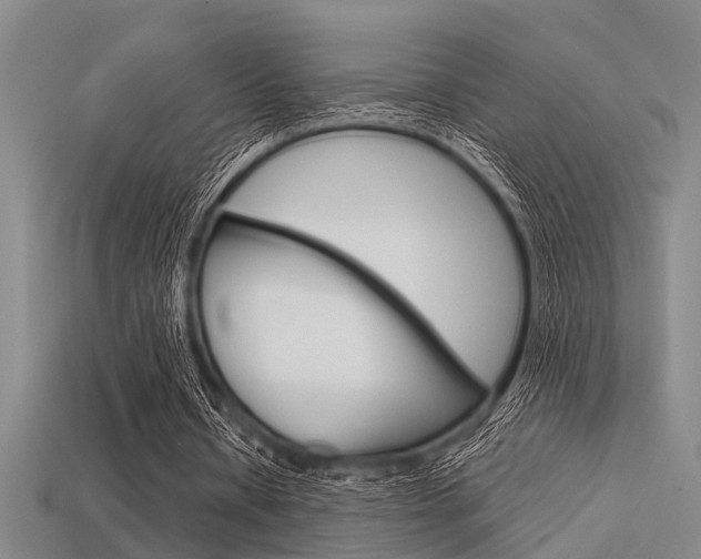 X0000113590434200909181051