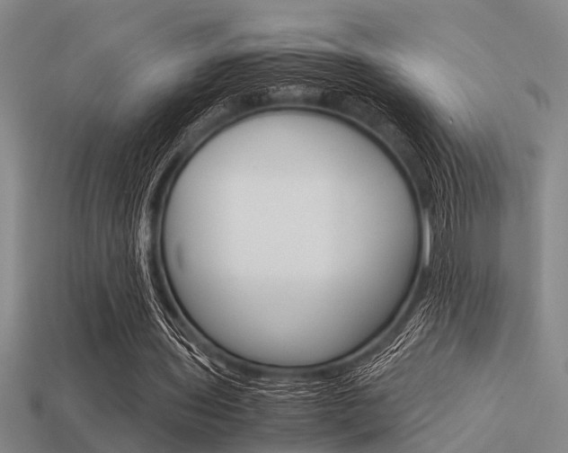 X0000113590435200909181051
