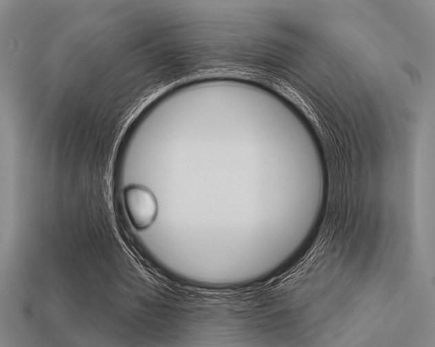 X0000113590436200909181051
