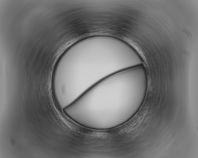 X0000113590437200909181051