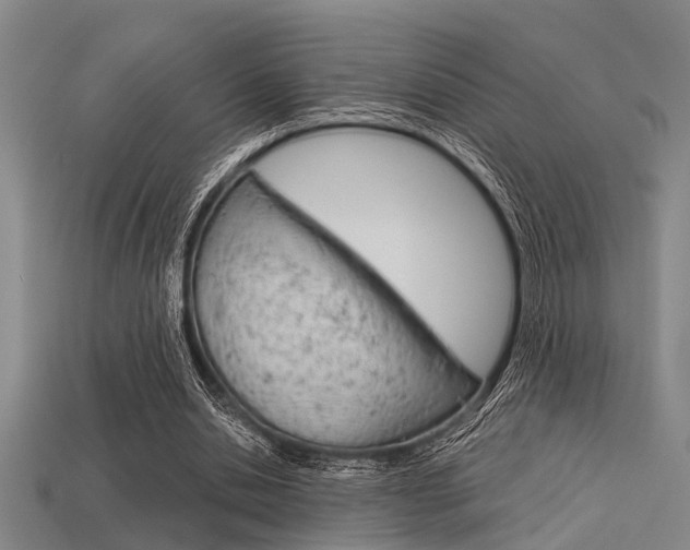 X0000113590438200909181051