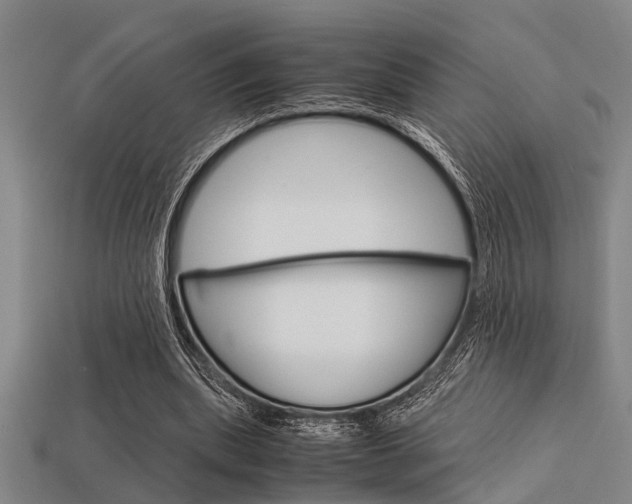 X0000113590439200909181051