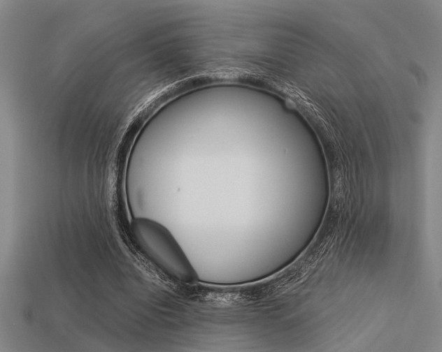 X0000113590440200909181051