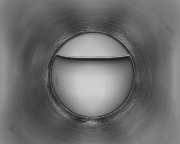 X0000113590441200909181051