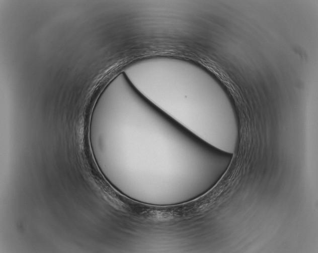 X0000113590442200909181051