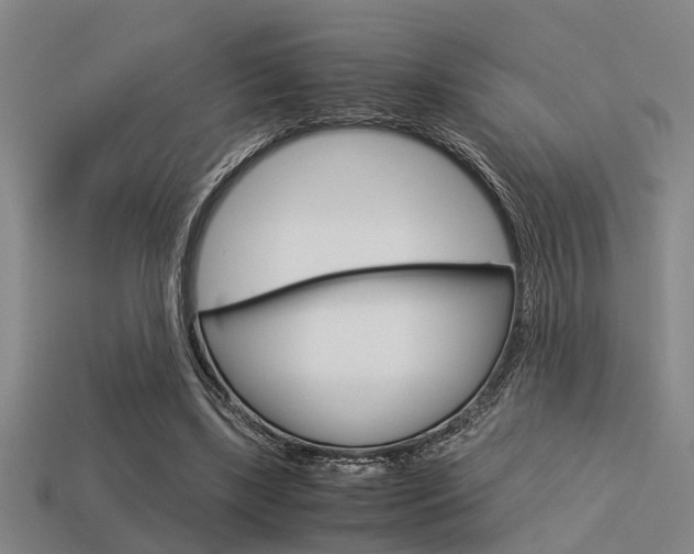 X0000113590443200909181051
