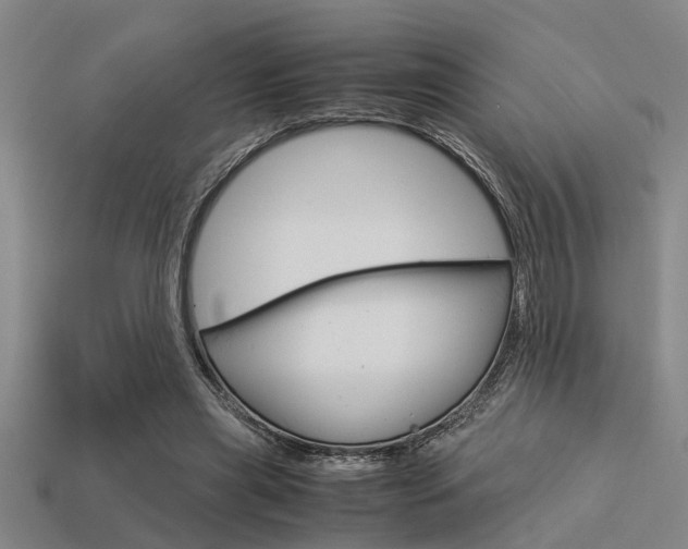 X0000113590445200909181051