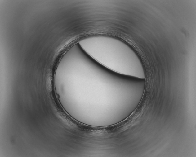 X0000113590446200909181051