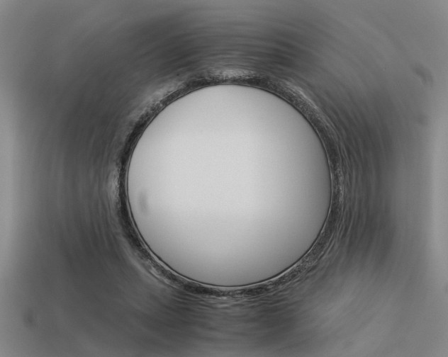 X0000113590447200909181051