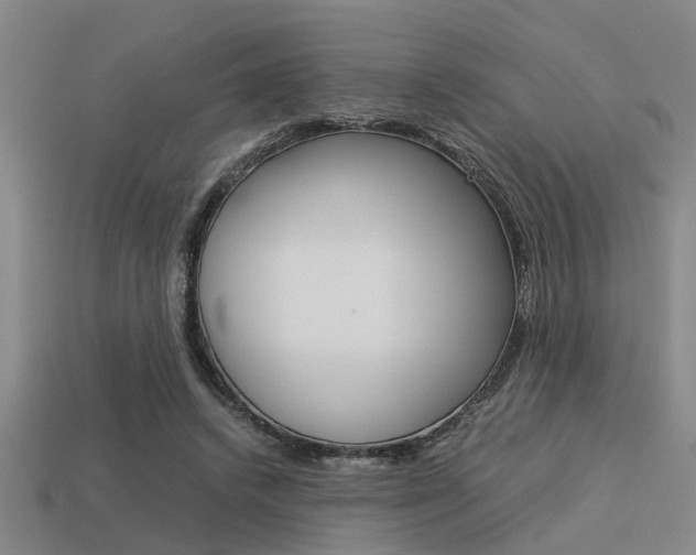 X0000113590448200909181051