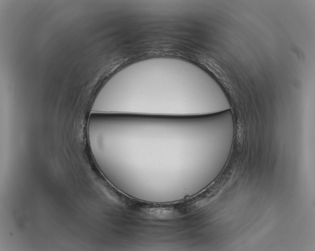 X0000113590449200909181051