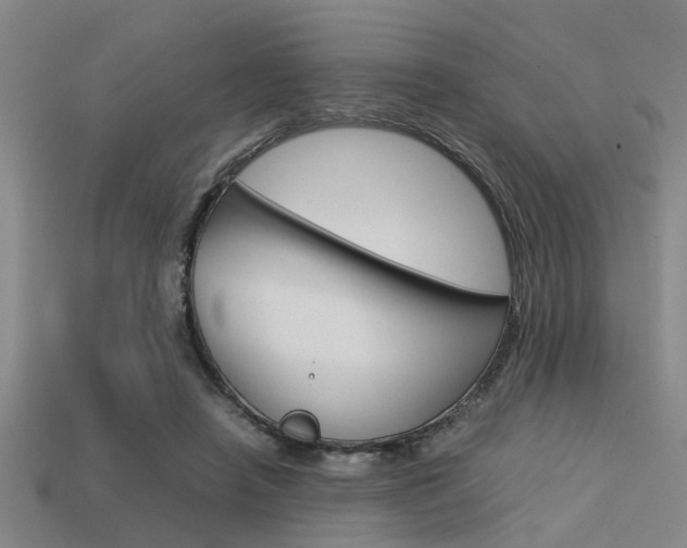 X0000113590450200909181051