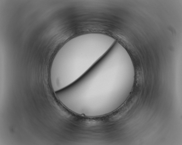X0000113590453200909181051