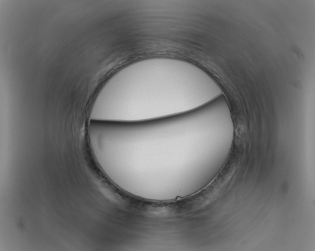 X0000113590454200909181051