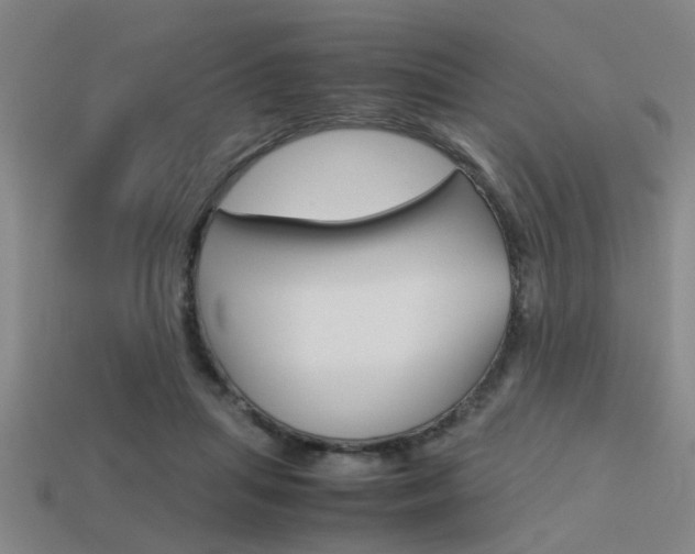 X0000113590455200909181051