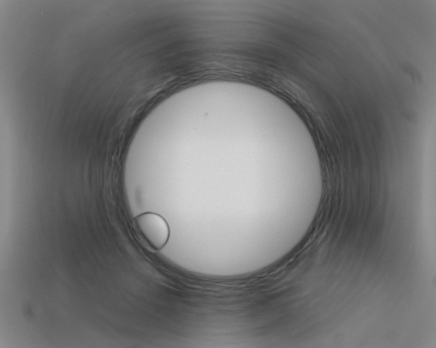 X0000113590456200909181051