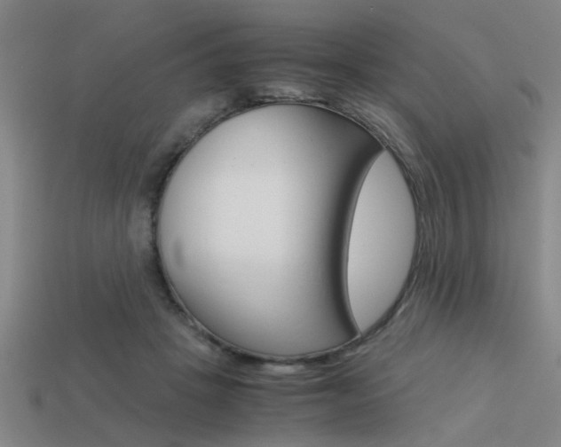 X0000113590457200909181051