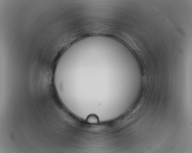 X0000113590458200909181051