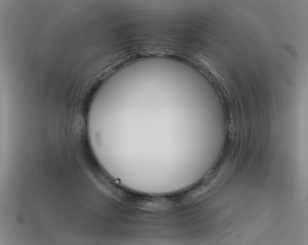 X0000113590459200909181051