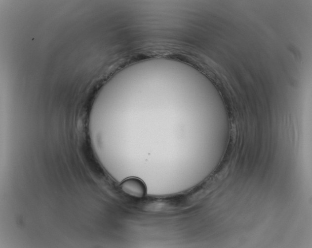 X0000113590460200909181051