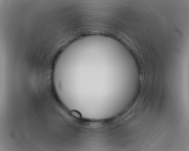 X0000113590462200909181051