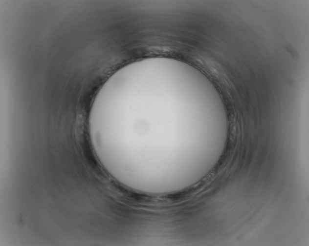 X0000113590463200909181051