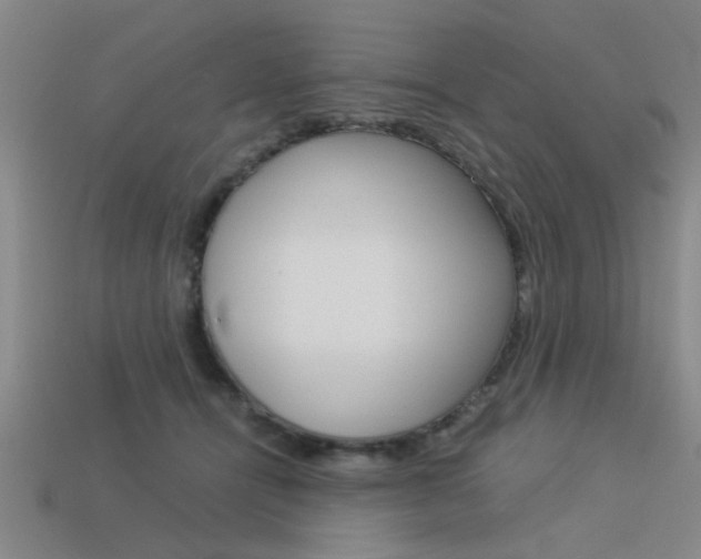X0000113590464200909181051